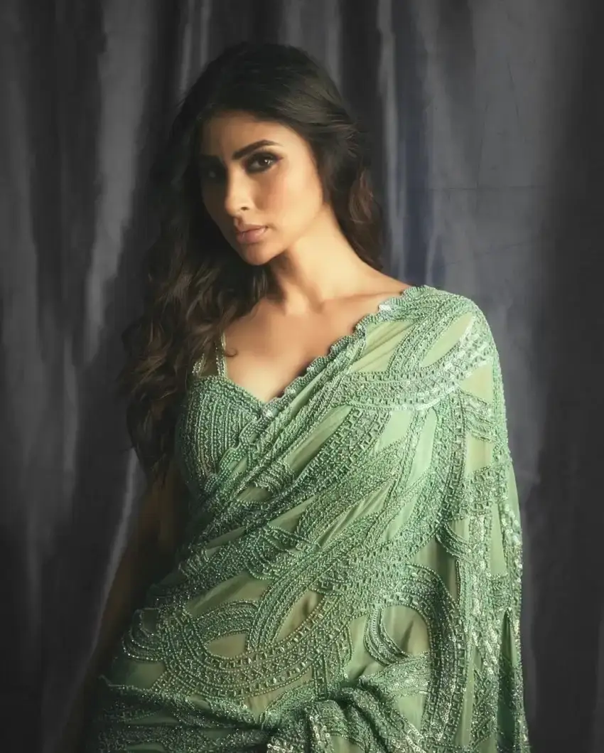 North Indian TV Actress Mouni Roy in Sleeveless Green Saree